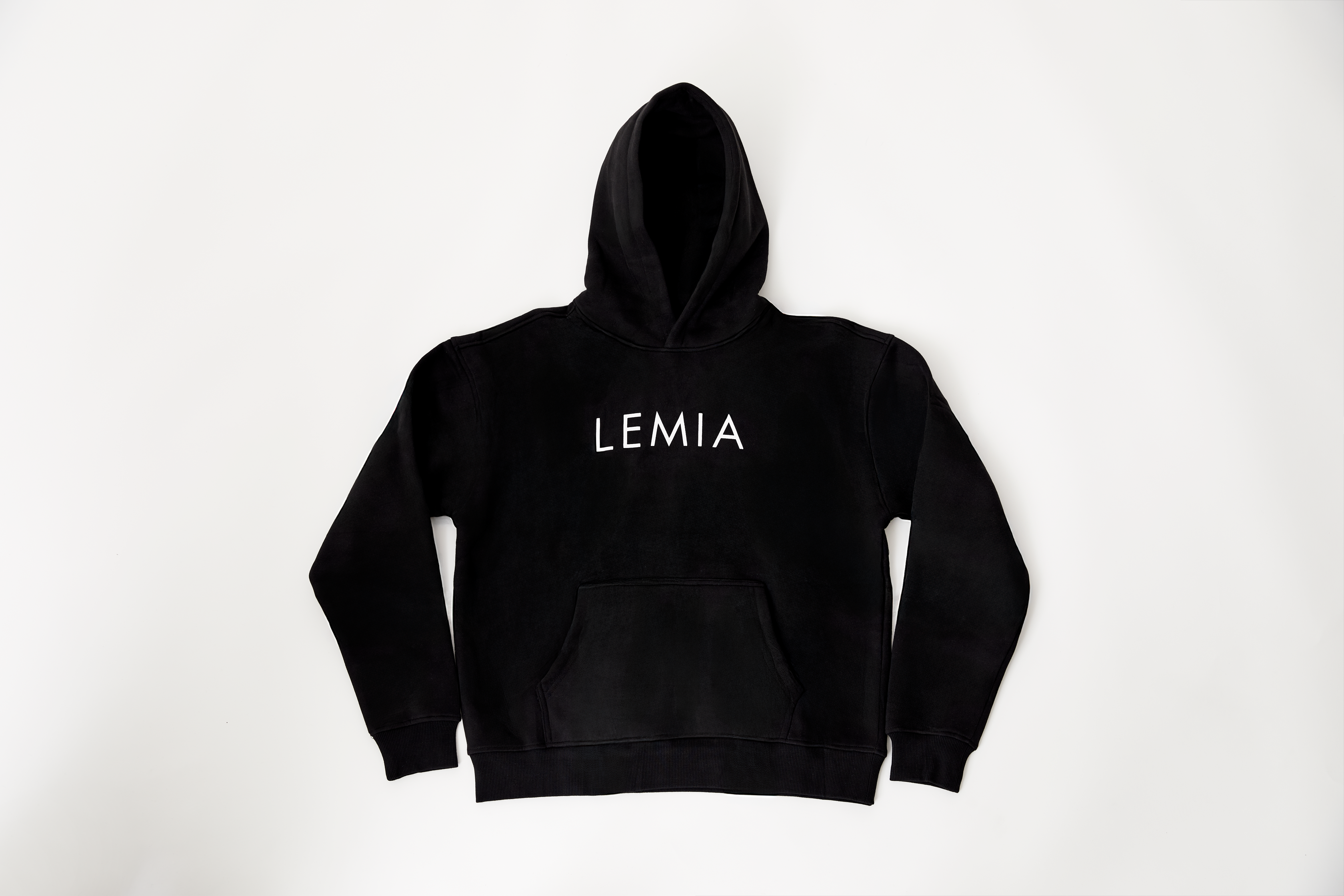 LEMIA LOGO SET UP